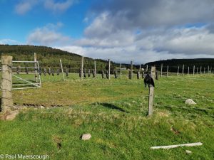 Events, Places, Scotland, TGO Challenge, UK