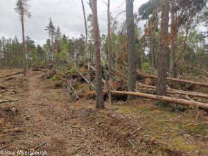 Events, Places, Scotland, TGO Challenge, UK