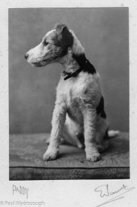 Connie, Family, People, paddy