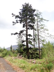 Events, Places, Scotland, TGO Challenge, UK