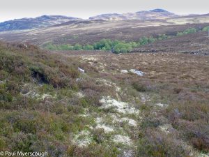 Events, Places, Scotland, TGO Challenge, UK