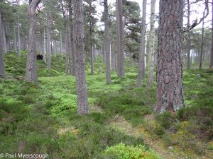 Events, Places, Scotland, TGO Challenge, UK