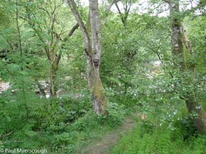 Events, Places, Scotland, TGO Challenge, UK