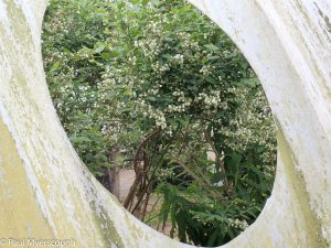 Events, Places, Scotland, TGO Challenge, UK